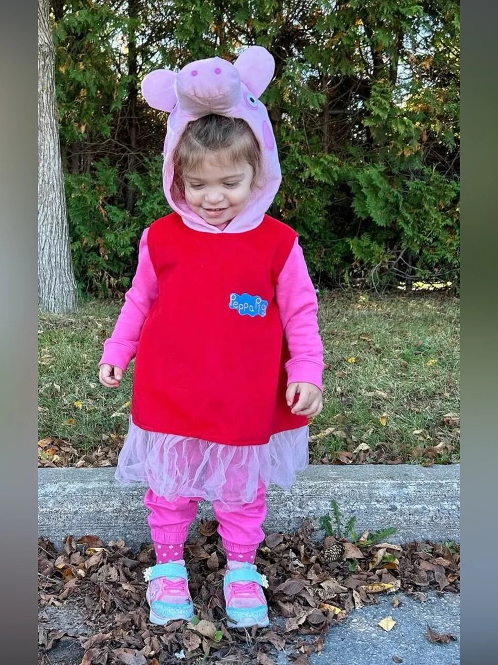 Peppa Pig costume dress halloween toddler girl hat tulle face 2017